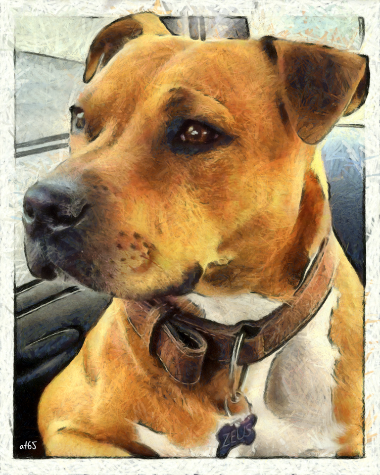 Zeus