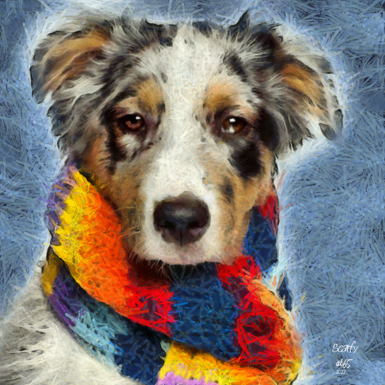 Scarfy
