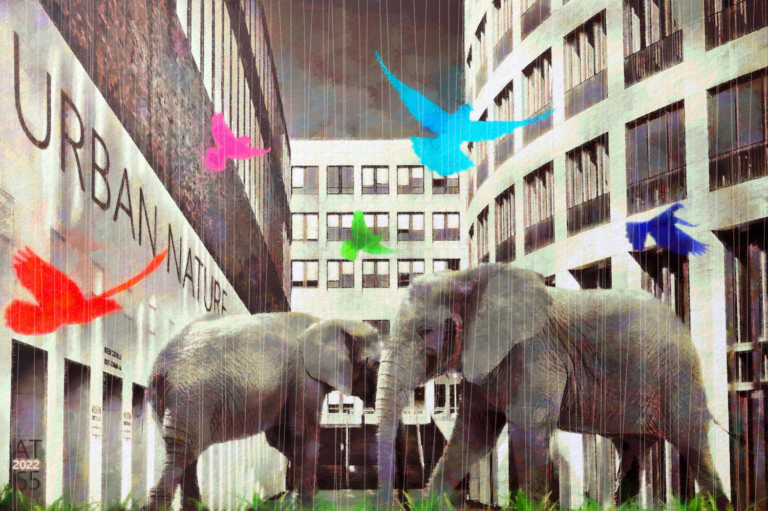 Urban Nature