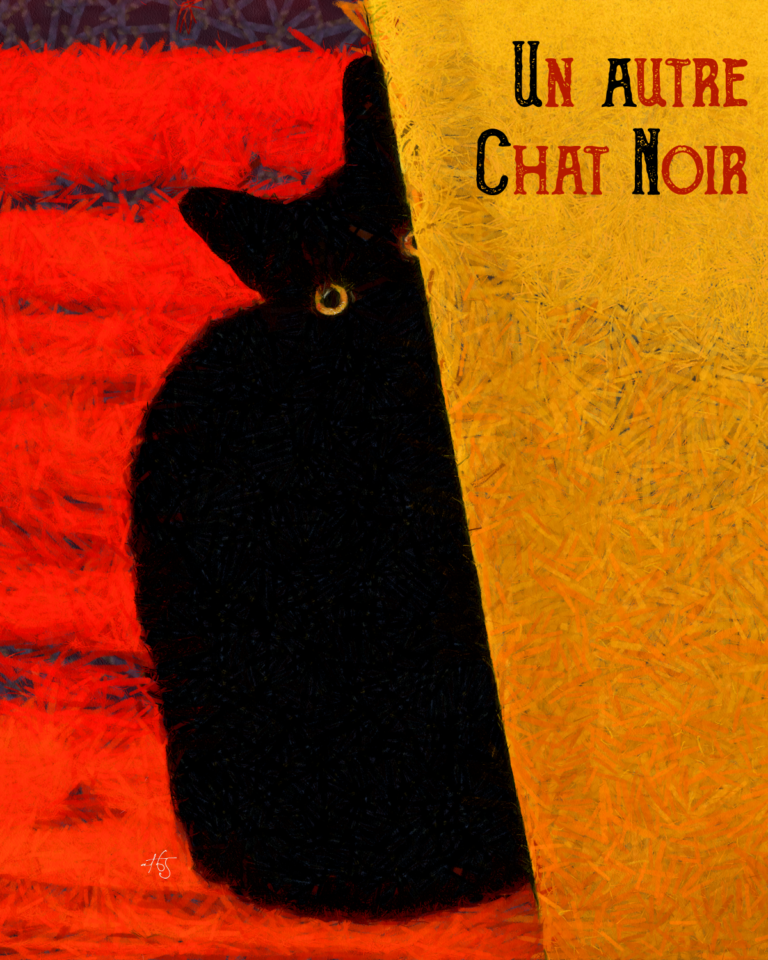 Un autre chat noir